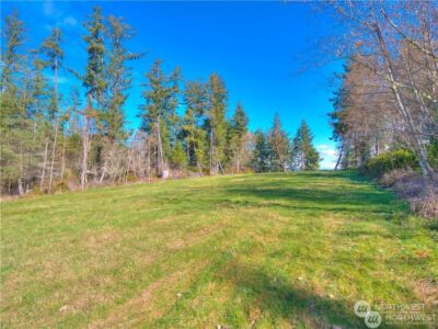 0 Morris Boulevard , Steilacoom, WA 98388 - Photo 30