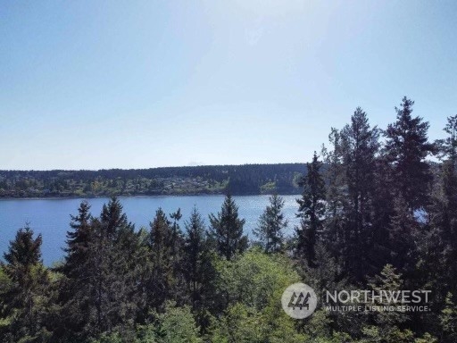 0 Morris Boulevard , Steilacoom, WA 98388