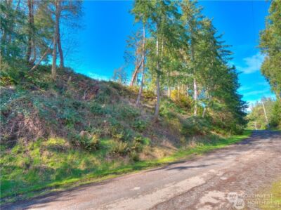 0 Morris Boulevard , Steilacoom, WA 98388 - Photo 33