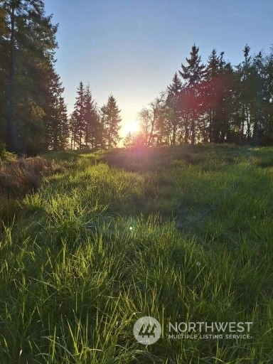 0 Morris Boulevard , Steilacoom, WA 98388