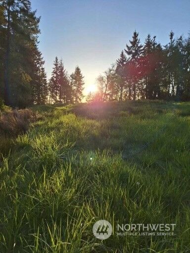 0 Morris Boulevard , Steilacoom, WA 98388 - Photo 7