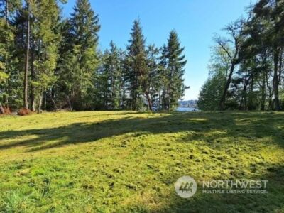 0 Morris Boulevard , Steilacoom, WA 98388 - Photo 8