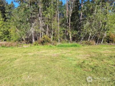 0 Morris Boulevard , Steilacoom, WA 98388 - Photo 10