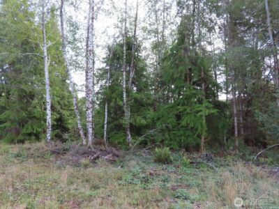 0 Tract 2 State Route 101 , South Bend, WA 98596 - Photo 15