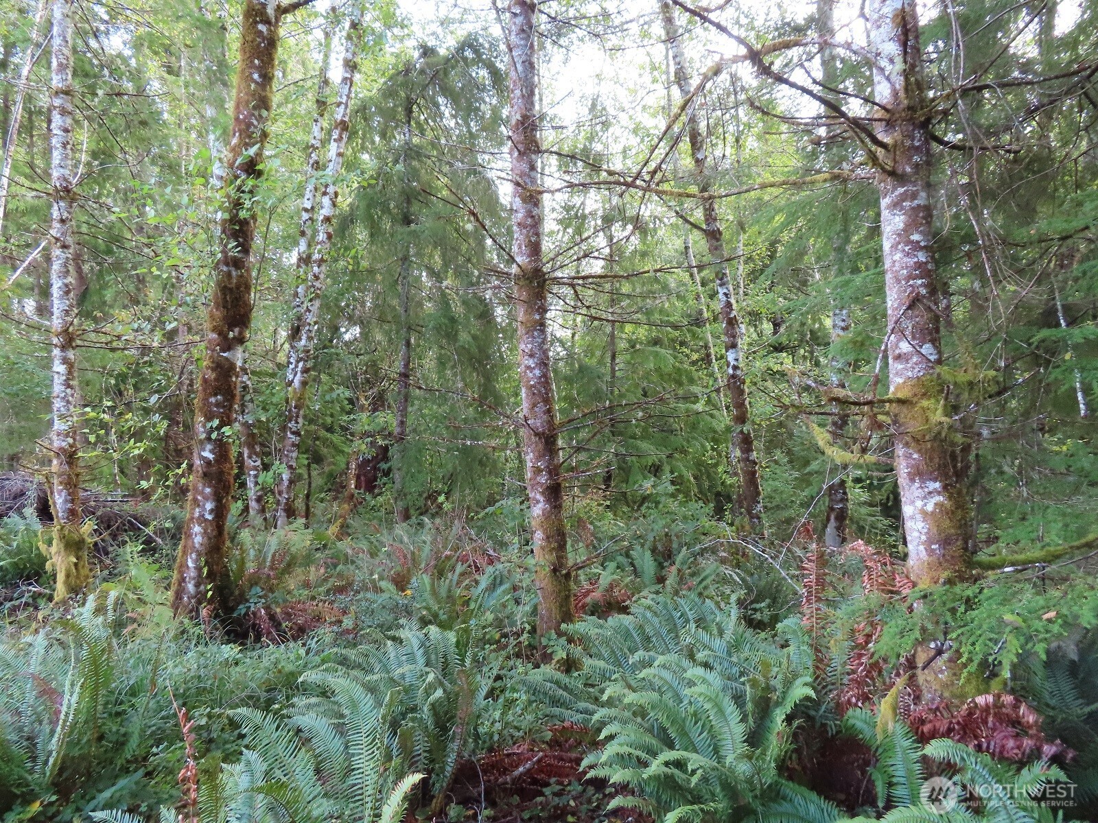 0 Tract 2 State Route 101 , South Bend, WA 98596