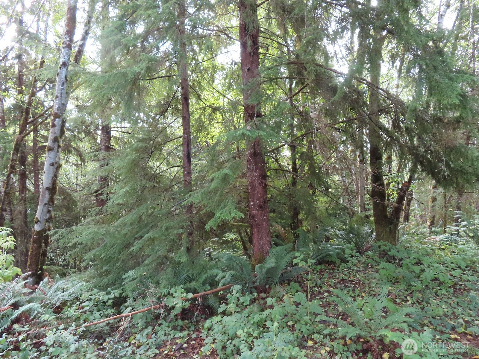 0 Tract 2 State Route 101 , South Bend, WA 98596