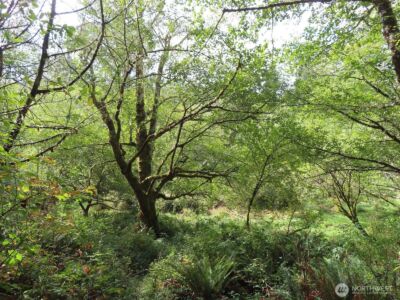 0 Tract 2 State Route 101 , South Bend, WA 98596 - Photo 3