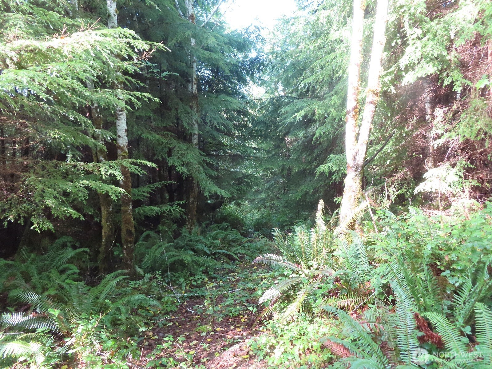 0 Tract 2 State Route 101 , South Bend, WA 98596