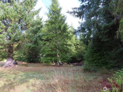 0 Tract 2 State Route 101 , South Bend, WA 98596 - Photo 9