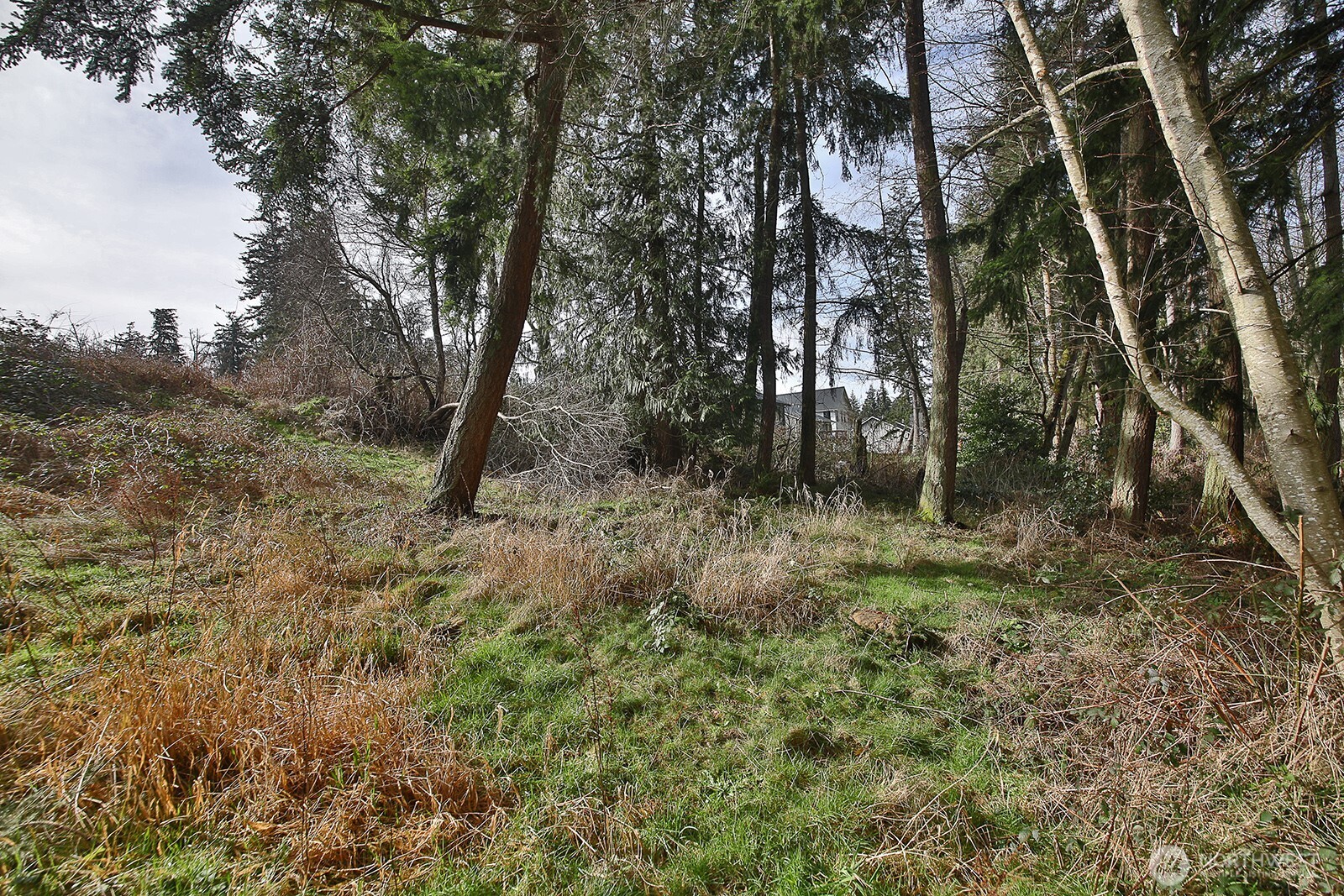 1857 Watkins Road , Freeland, WA 98249