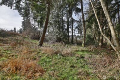 1857 Watkins Road , Freeland, WA 98249 - Photo 7