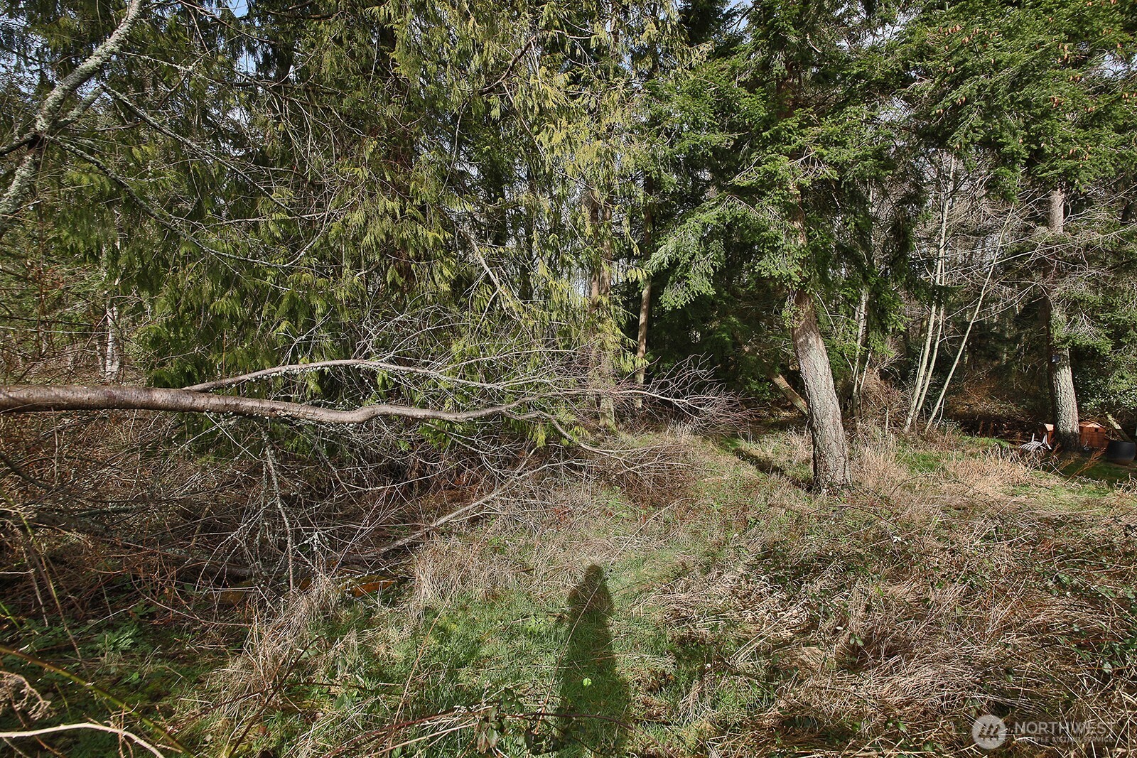 1857 Watkins Road , Freeland, WA 98249