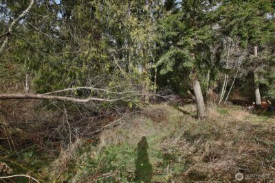 1857 Watkins Road , Freeland, WA 98249 - Photo 8