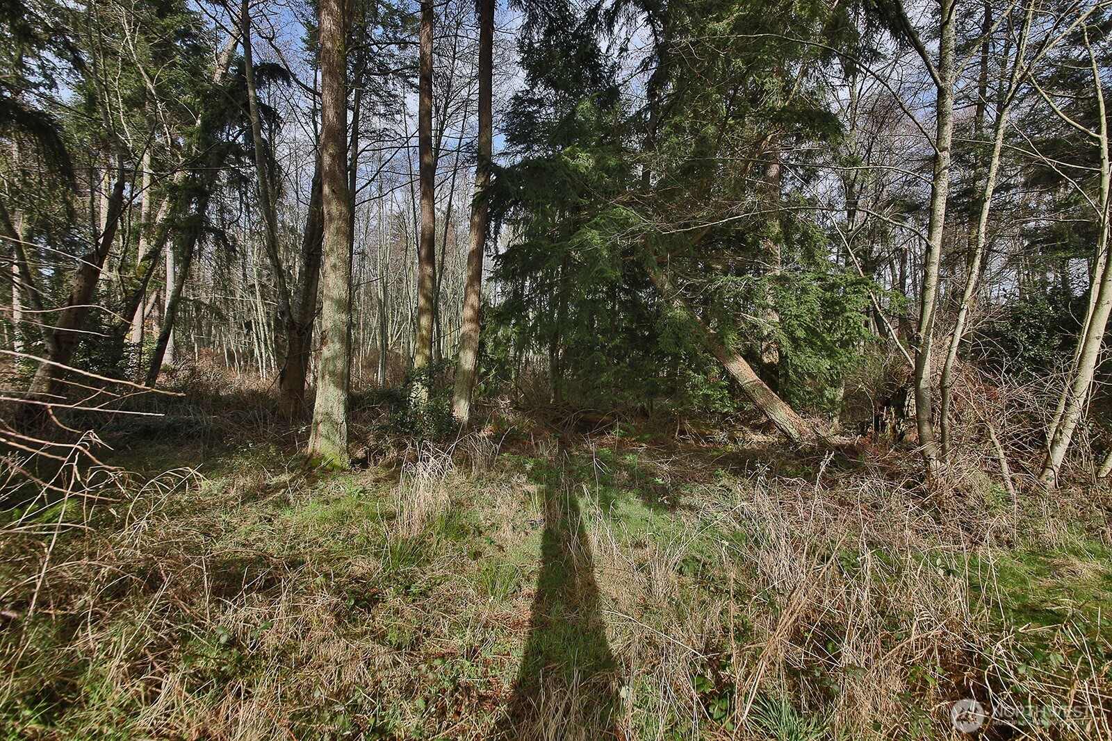 1857 Watkins Road , Freeland, WA 98249