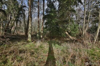 1857 Watkins Road , Freeland, WA 98249 - Photo 9