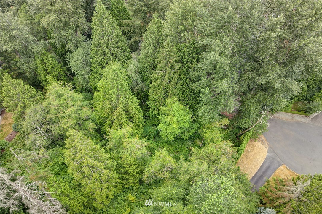 11217 167th Ct NE, Redmond, WA 98052