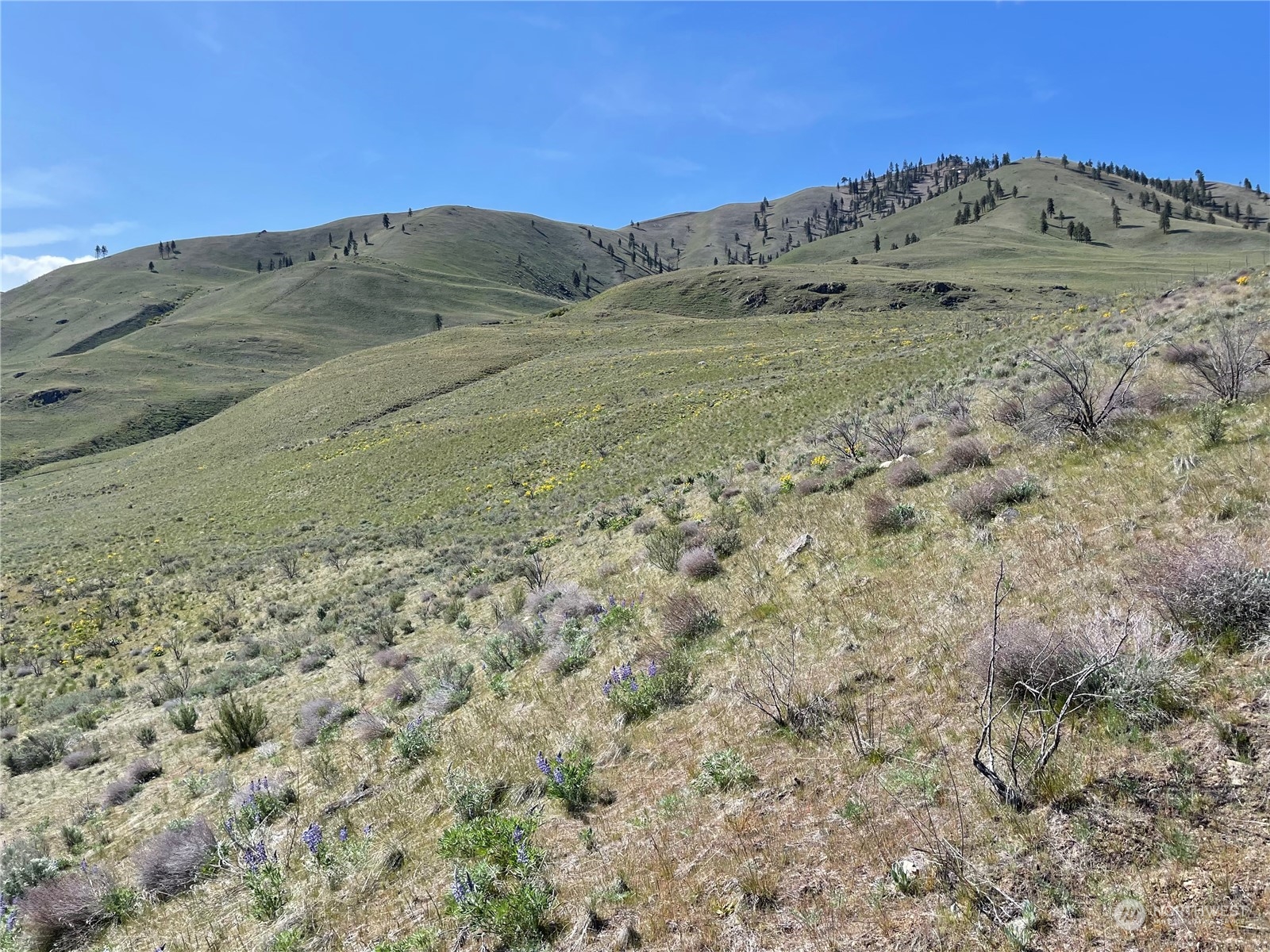 0 NNA E Iowa Street , Chelan, WA 98816