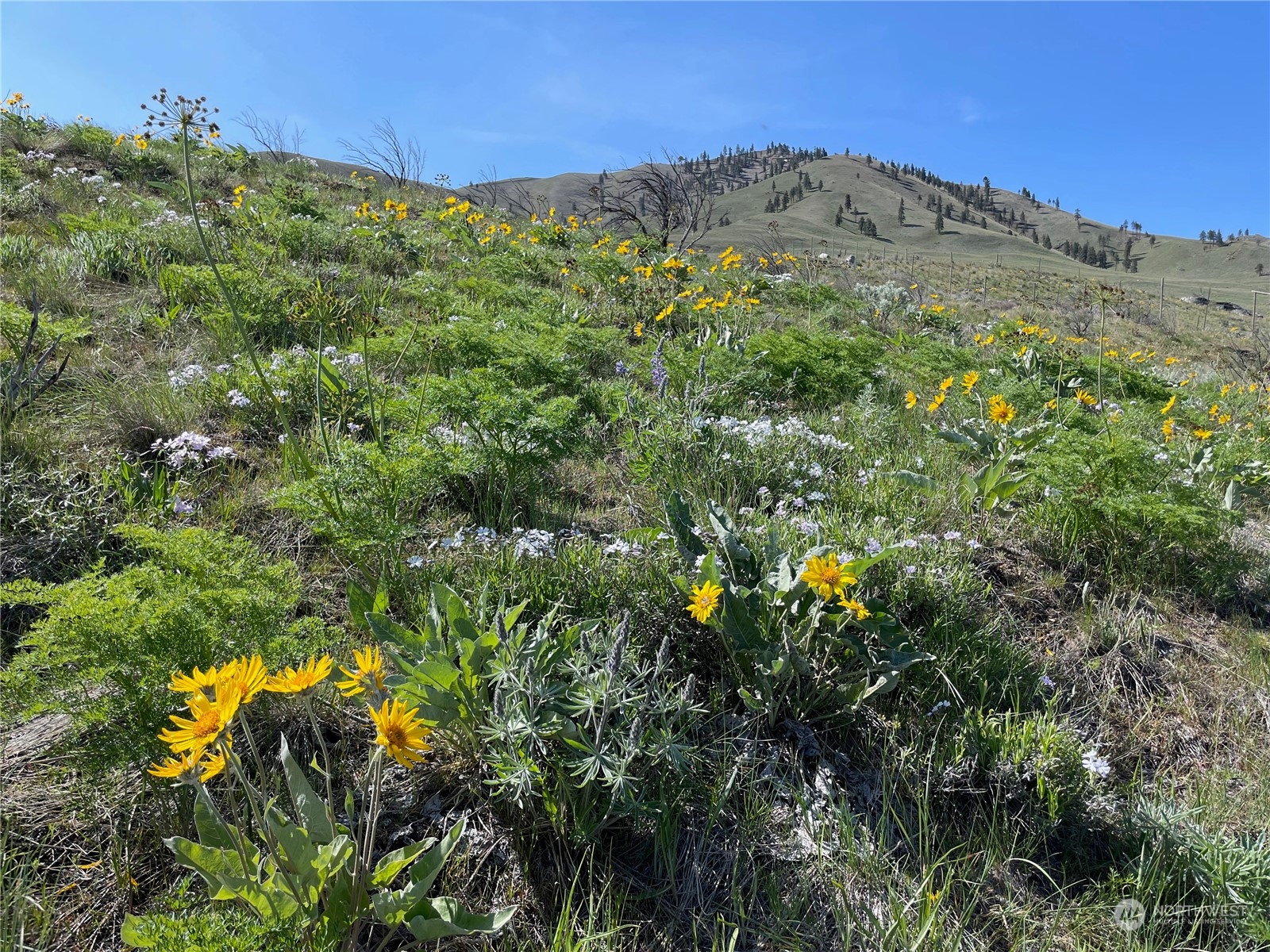 0 NNA E Iowa Street , Chelan, WA 98816