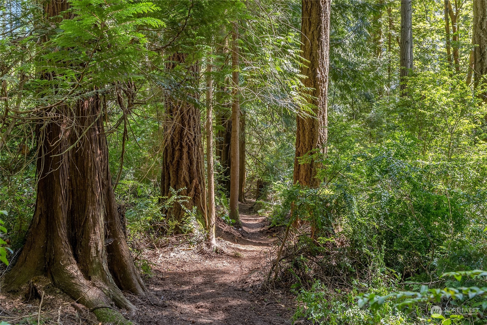 0 NE New Brooklyn Road , Bainbridge Island, WA 98110