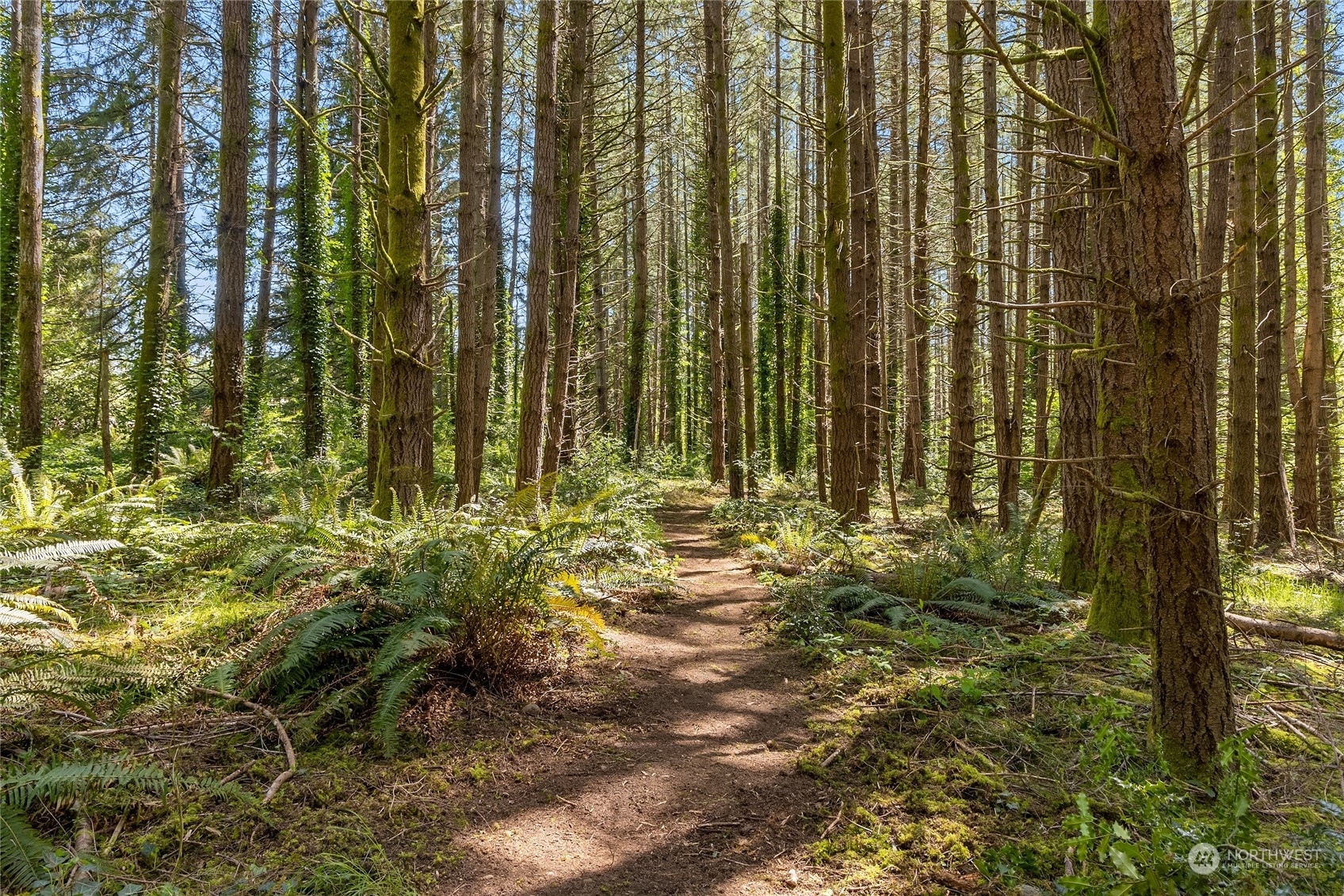 0 NE New Brooklyn Road , Bainbridge Island, WA 98110