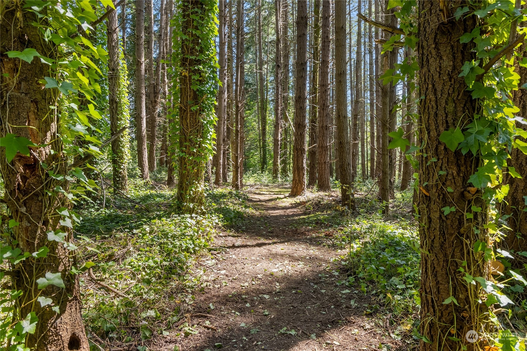 0 NE New Brooklyn Road , Bainbridge Island, WA 98110