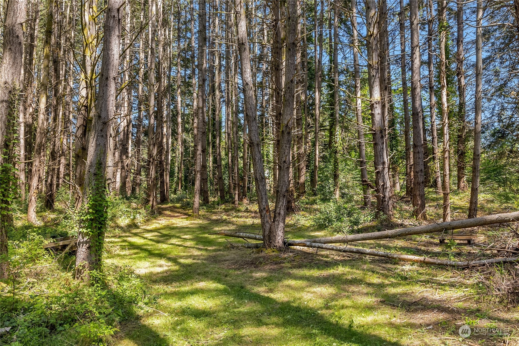 0 NE New Brooklyn Road , Bainbridge Island, WA 98110