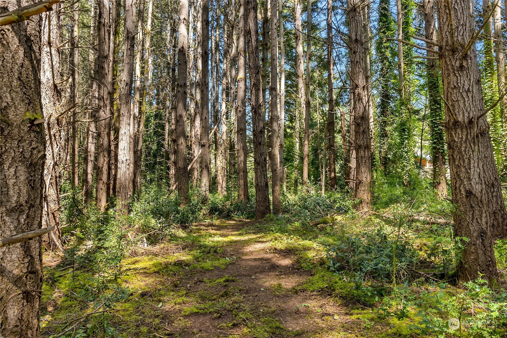 0 NE New Brooklyn Road , Bainbridge Island, WA 98110