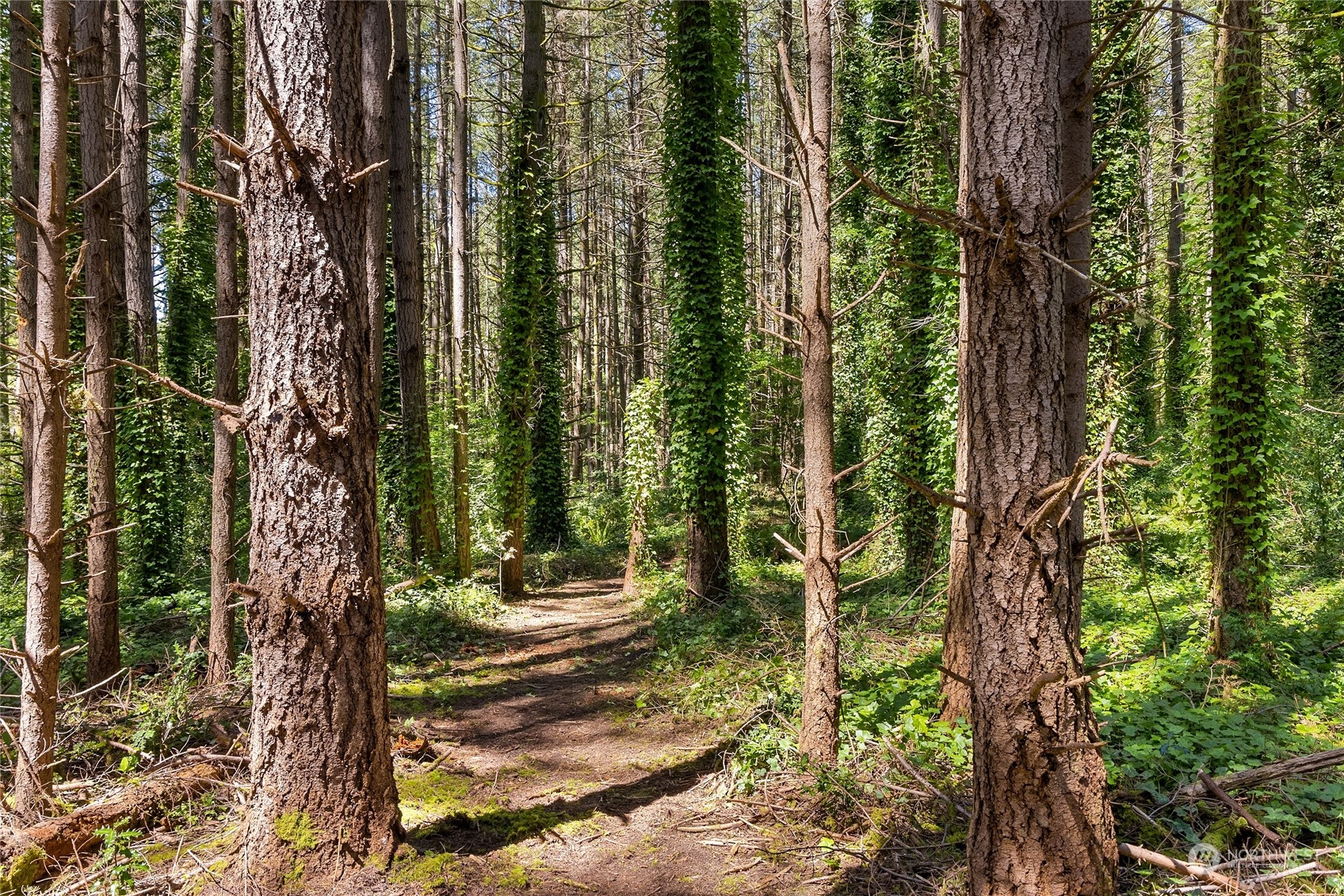 0 NE New Brooklyn Road , Bainbridge Island, WA 98110