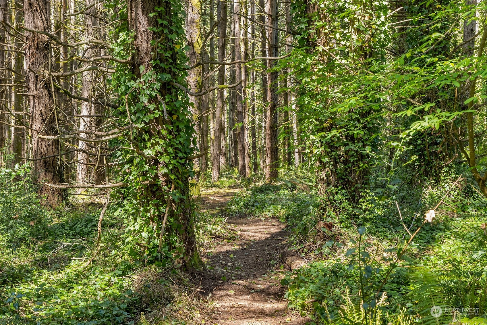 0 NE New Brooklyn Road , Bainbridge Island, WA 98110