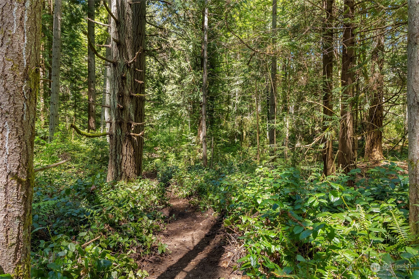 0 NE New Brooklyn Road , Bainbridge Island, WA 98110