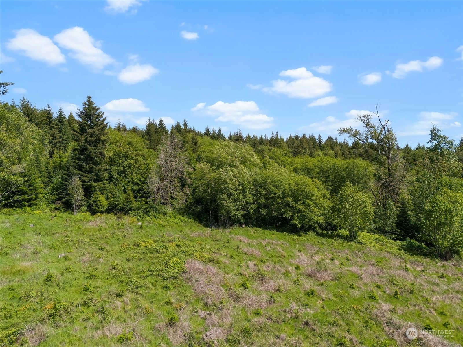 0 Germaine Drive , Chehalis, WA 98532