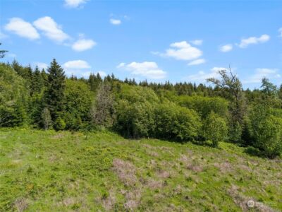 0 Germaine Drive , Chehalis, WA 98532 - Photo 17