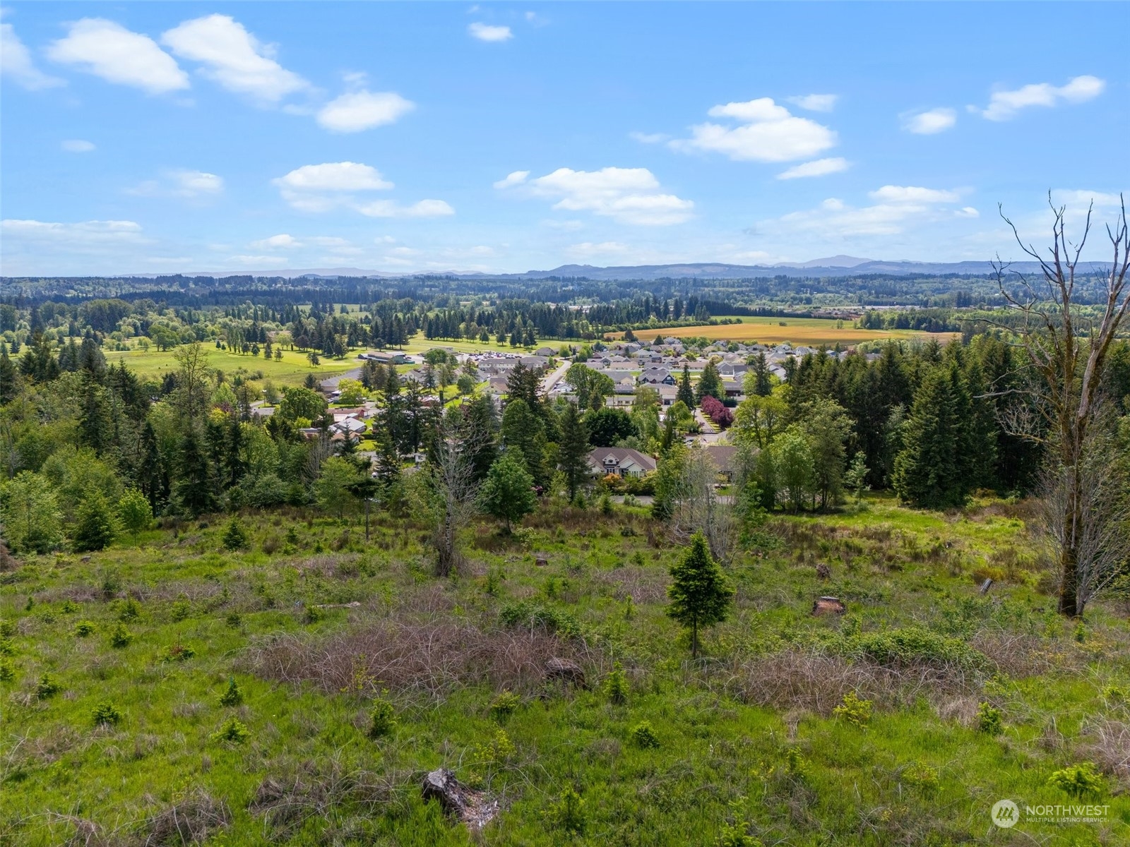 0 Germaine Drive , Chehalis, WA 98532