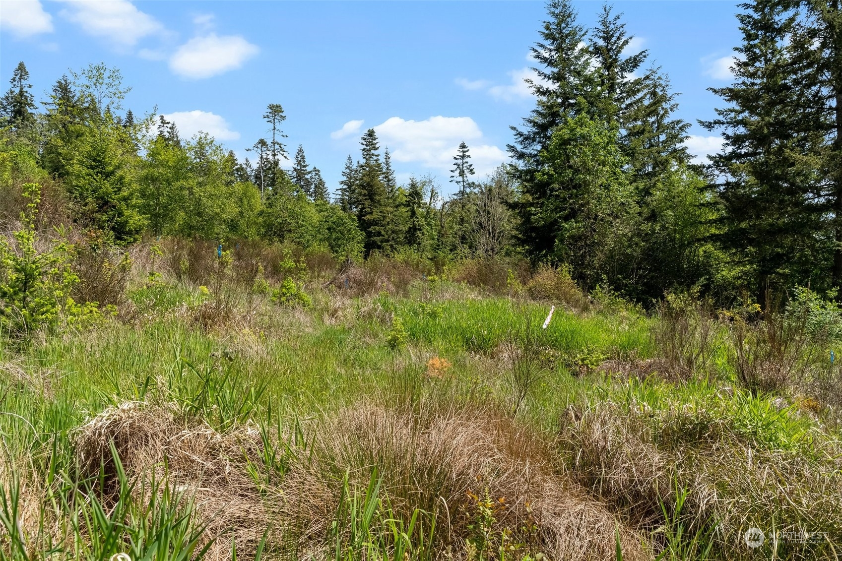 0 Germaine Drive , Chehalis, WA 98532