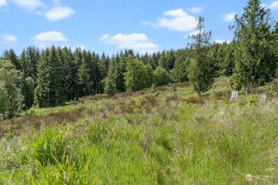 0 Germaine Drive , Chehalis, WA 98532 - Photo 30