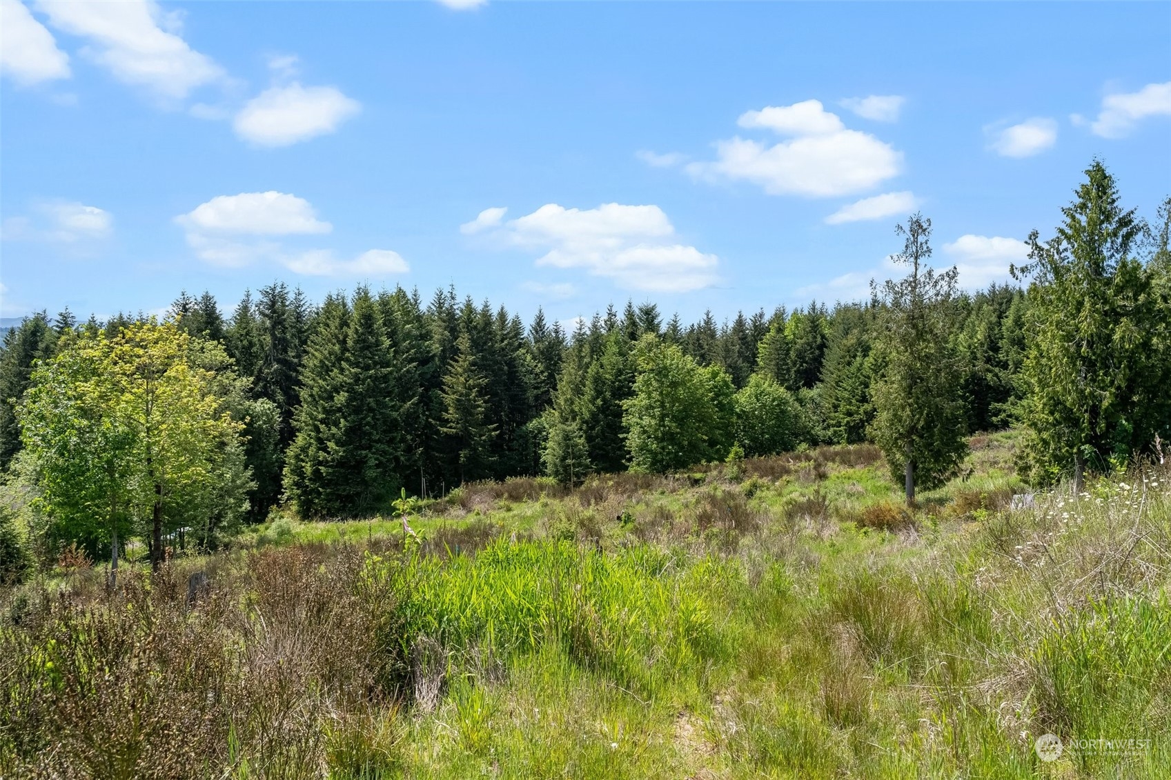 0 Germaine Drive , Chehalis, WA 98532