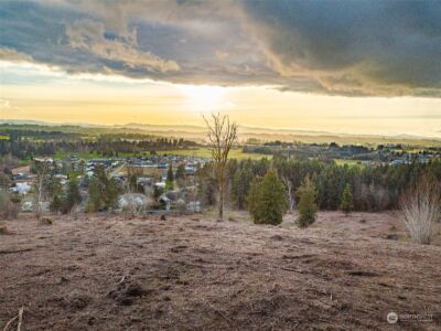 0 Germaine Drive , Chehalis, WA 98532 - Photo 10