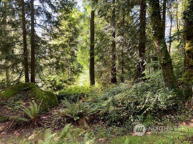 8900 144th Place SE, Newcastle, WA 98059