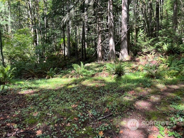 8900 144th Place SE, Newcastle, WA 98059