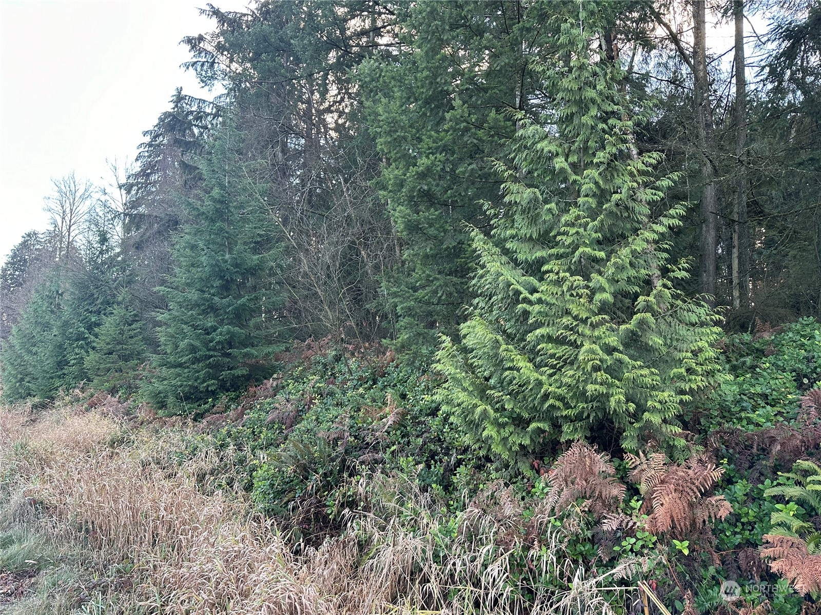 8300 SR9 , Marysville, WA 98270