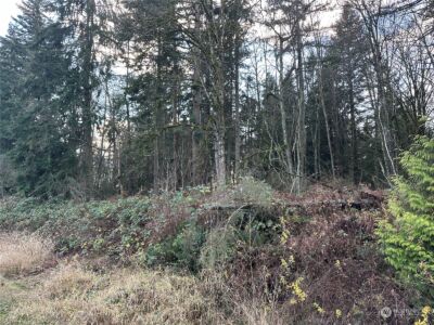 8300 SR9 , Marysville, WA 98270 - Photo 4