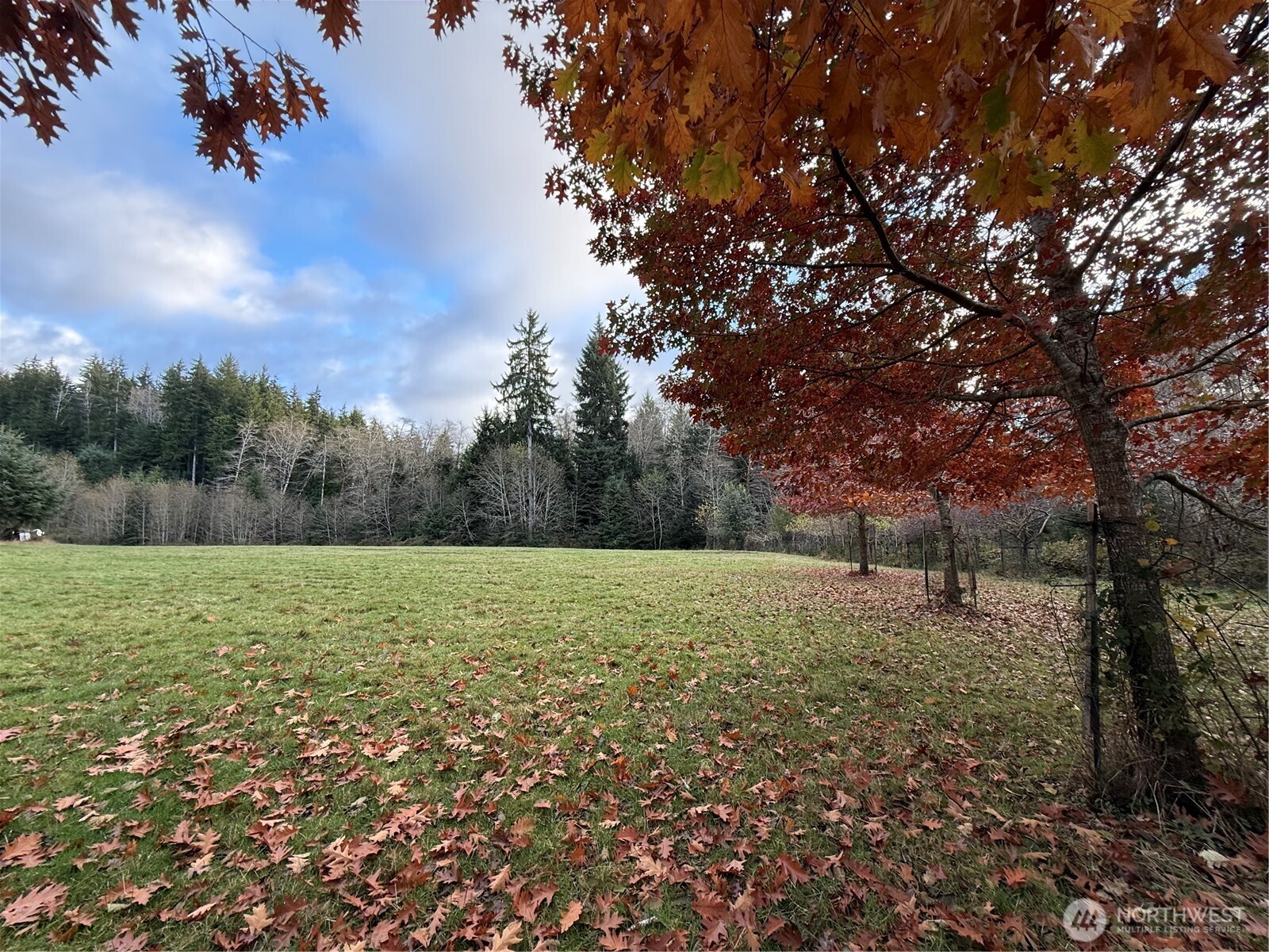 92 Dionne Lane , Naselle, WA 98638