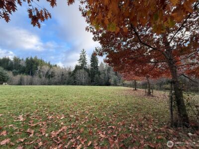 92 Dionne Lane , Naselle, WA 98638 - Photo 12