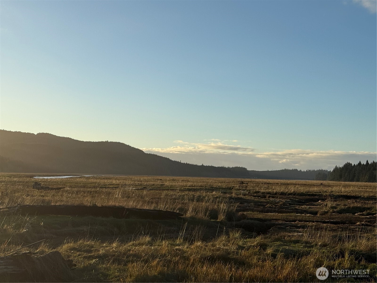 92 Dionne Lane , Naselle, WA 98638