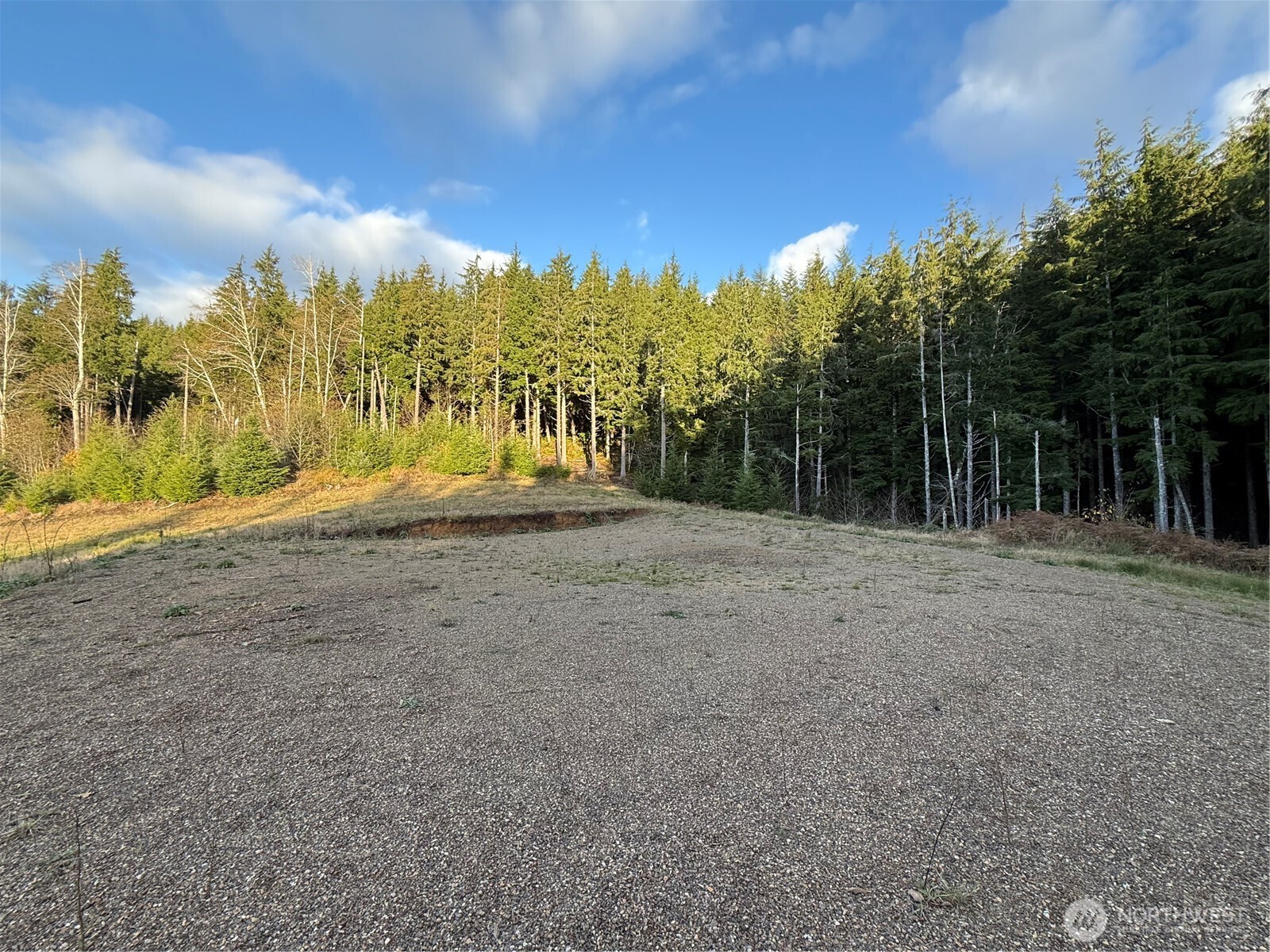 92 Dionne Lane , Naselle, WA 98638