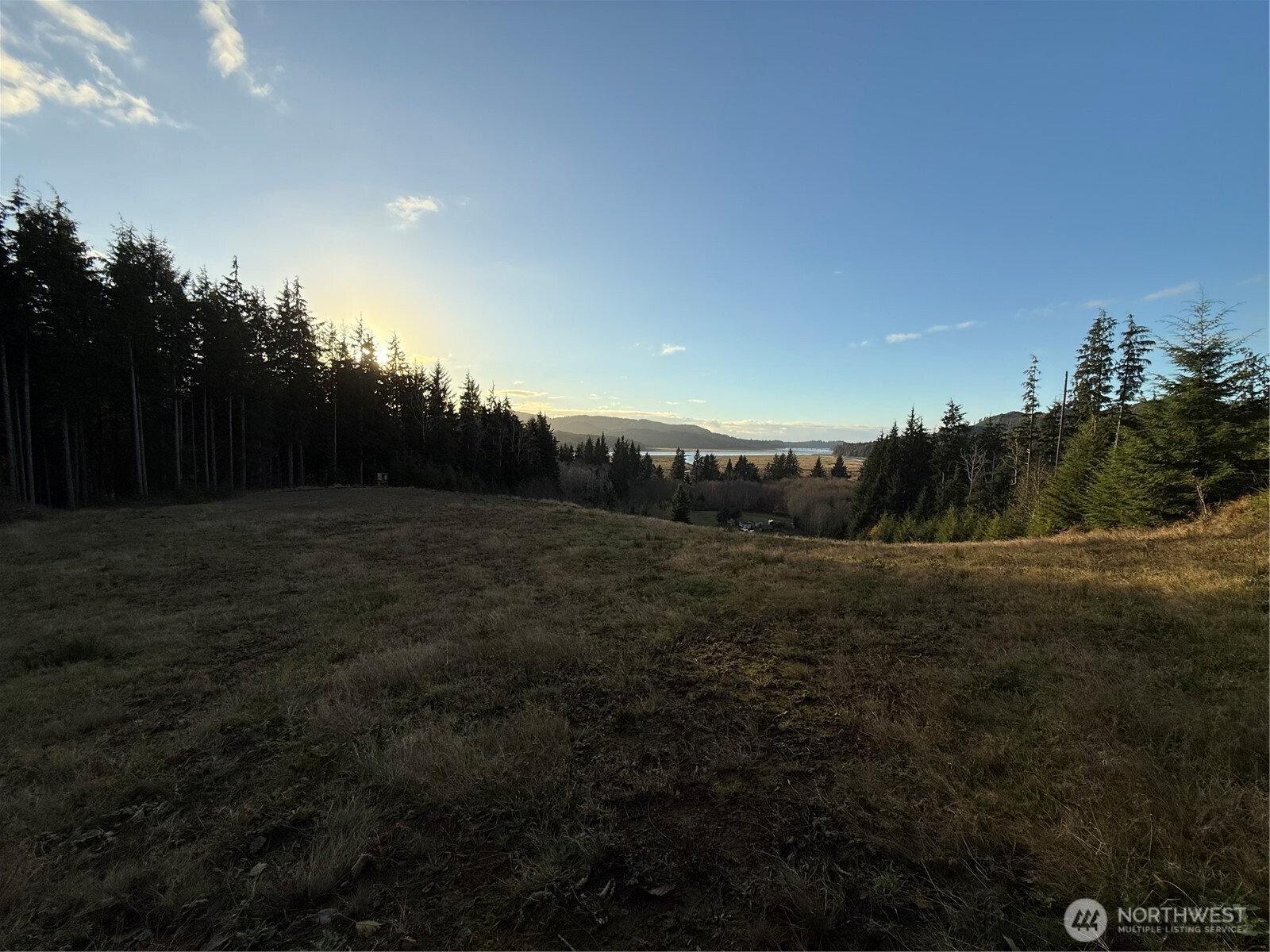 92 Dionne Lane , Naselle, WA 98638