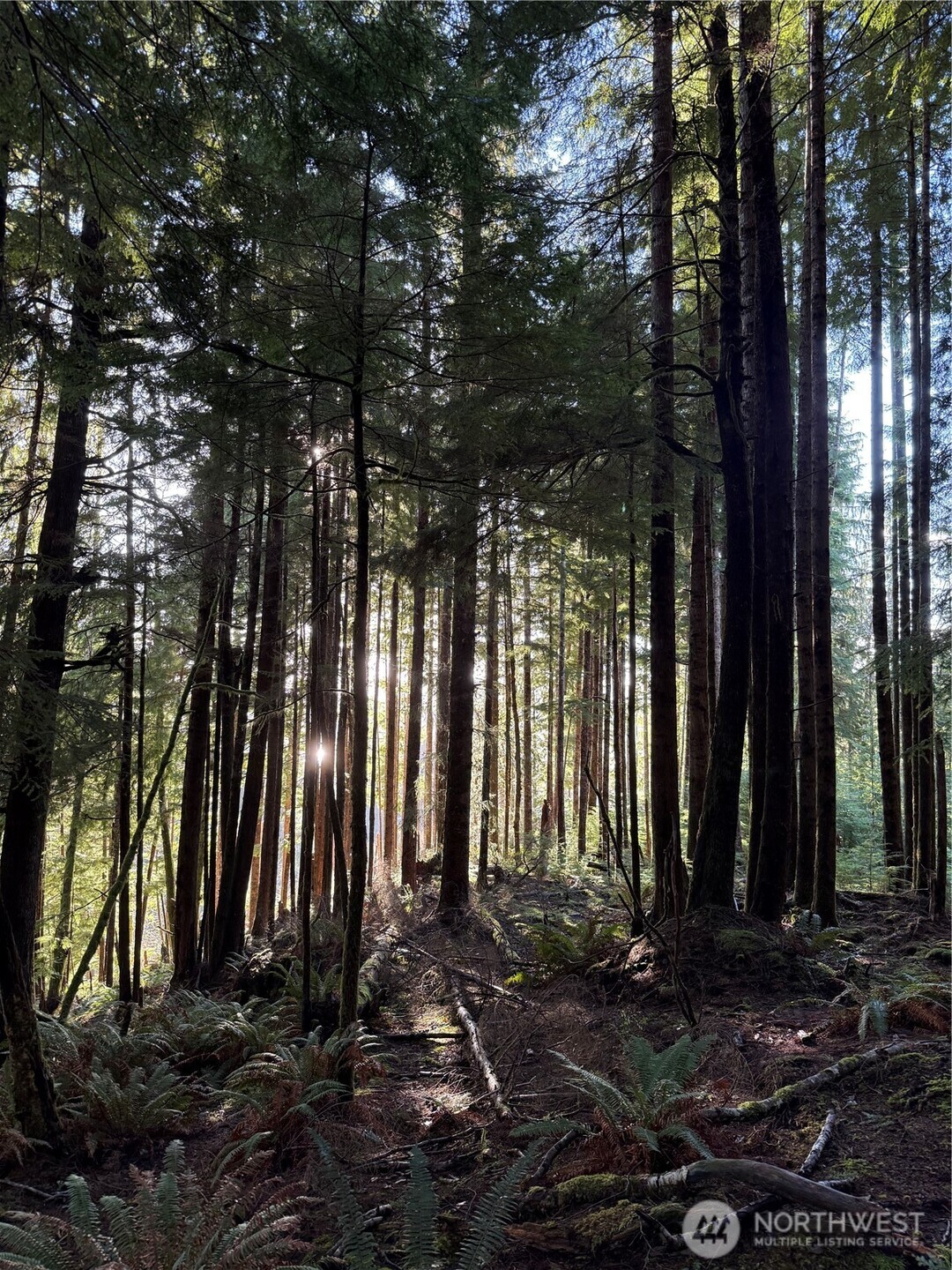 70 Dionne Lane , Naselle, WA 98638