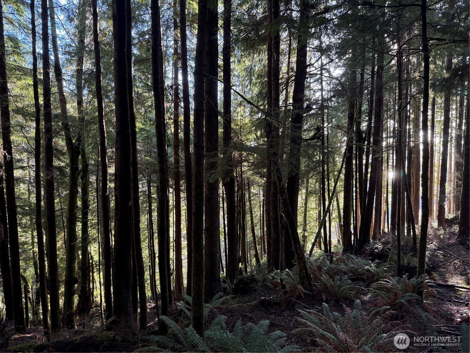 70 Dionne Lane , Naselle, WA 98638