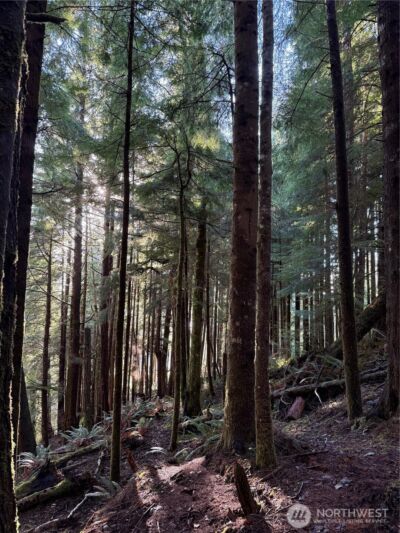 70 Dionne Lane , Naselle, WA 98638 - Photo 13