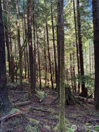 70 Dionne Lane , Naselle, WA 98638 - Photo 14